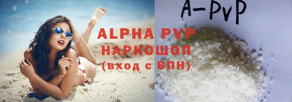 дмт Магас