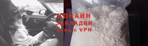 прущие грибы Магадан