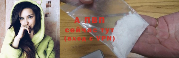 эйфоретик Сясьстрой