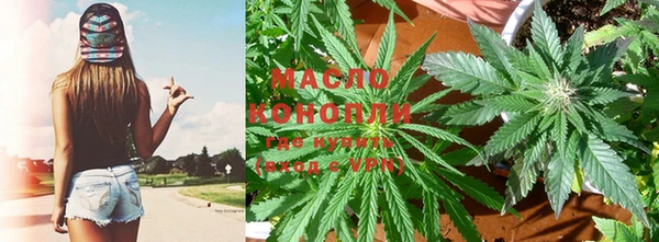 прущие грибы Магадан