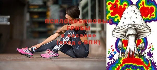 прущие грибы Магадан