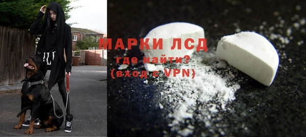 сатива Тайга