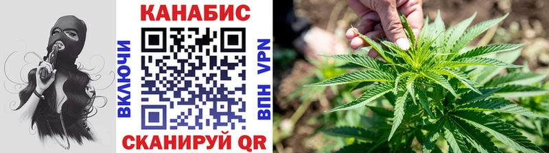 Канабис OG Kush Данков